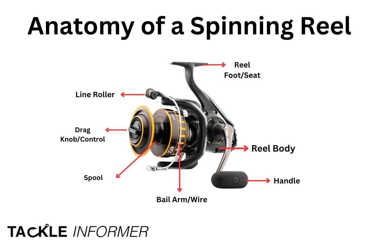 diagram fishing reel parts diagram fishing reel parts