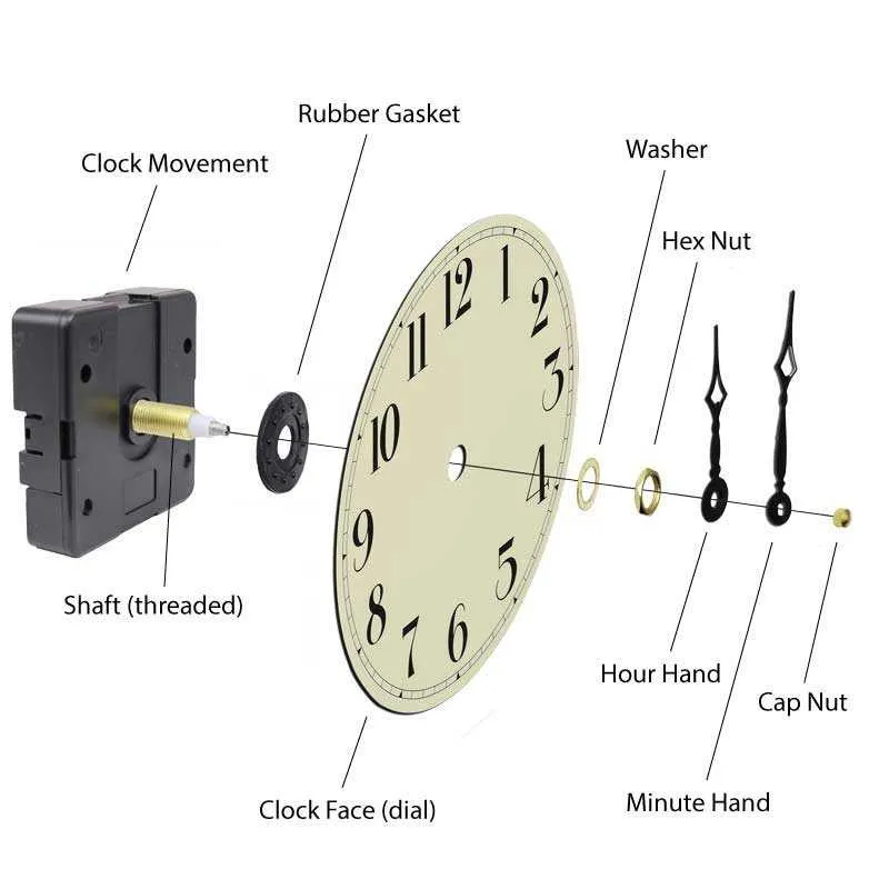 parts of a watch diagram
