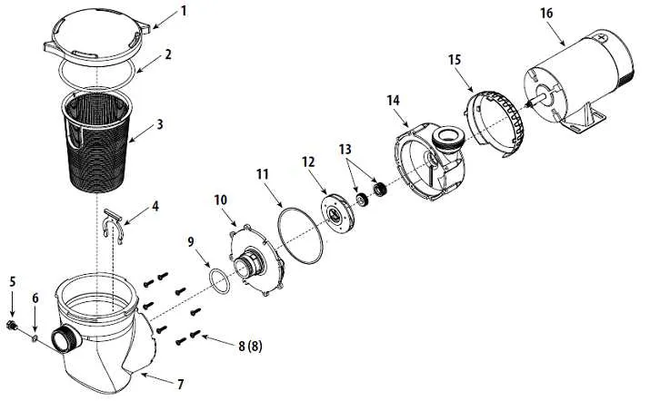 pool pump parts diagram pool pump parts diagram