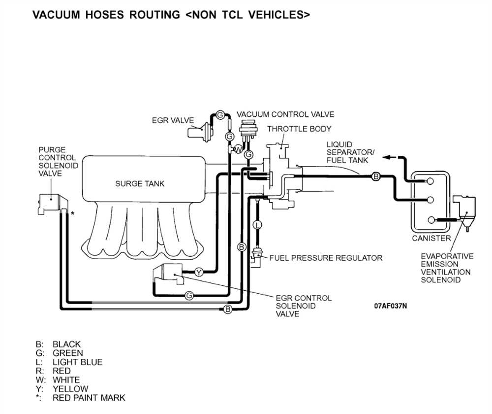 Step 2: Remove the Old Hose