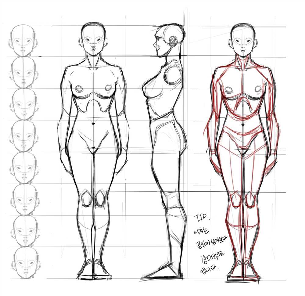 Understanding the Different Parts of the Female Body Chart Diagram
