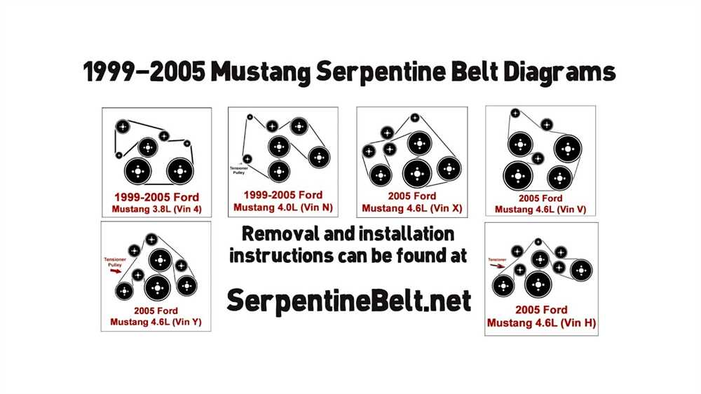 Components of the Belt System