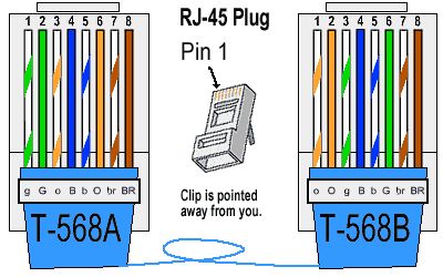 Category 5 wiring diagram